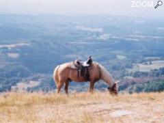 photo de La Ferme Equestre de Tréphy - Tréphy western riding farm