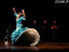 Foto flamenco de meligrana